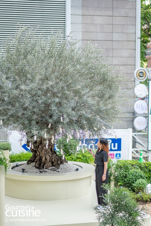 หลบความวุ่นวายของคนเมืองไปพักใจพร้อมอิ่มท้องที่ ABBA Café & All-day Dining