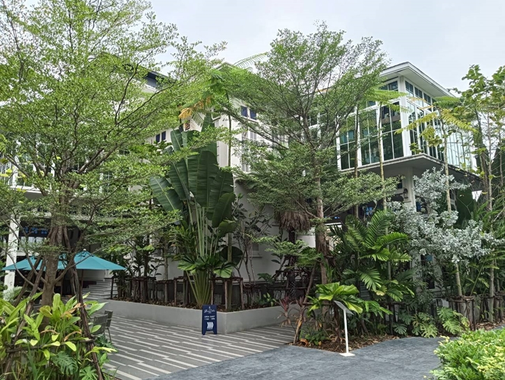 บ้านดาหลา บาย อังคณา เมื่อศาสตร์อาหารไทยผสานความรู้จากวิทยาลัยดุสิตธานี