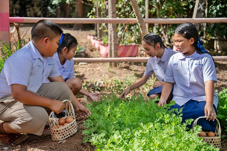“โครงการซีพีเลี้ยงไก่ไข่เพื่ออาหารกลางวันนักเรียน” ไข่ไก่ไม่ใช่แค่อาหารกลางวัน แต่คือบทเรียนชีวิตของเด็กในพื้นที่ห่างไกล