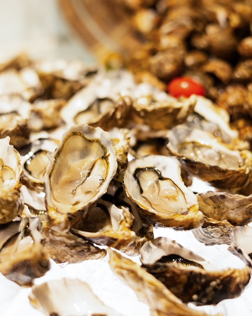  เปิดศักราชใหม่ 2569 กับ Savio Gastro Series  พบกับเชฟรับเชิญ Chef Willy Trullàs Moreno ที่โรงแรม ชาเทรียม แกรนด์ กรุงเทพฯ