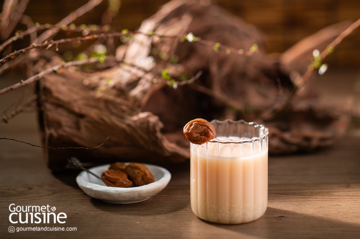 Ume Amazake อามาซาเกะรสบ๊วย สูตรเครื่องดื่มสุขภาพจากข้าวหมักและโคจิ