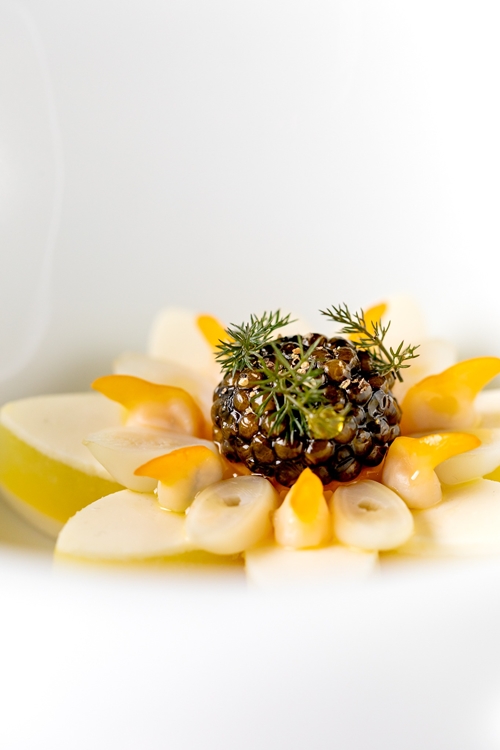 ‘MASTERS OF THE 150TH: AN EPICUREAN JOURNEY’ เปิดตัวอย่างเป็นทางการ ณ โรงแรมแมนดาริน โอเรียนเต็ล กรุงเทพฯ