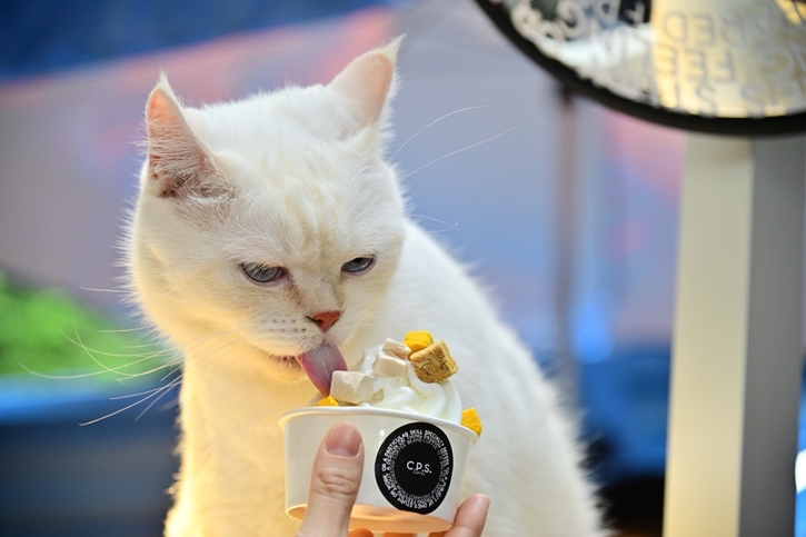 กูร์เมต์ มาร์เก็ต ชวน “กลัฟ - คณาวุฒิ” และเหล่าอินฟลูเอนเซอร์สี่ขาอวดความน่ารัก  ฉลองเปิดงาน “PETSHOOD” คอมมูนิตี้สุดชิคสำหรับคนรักสัตว์ ใจกลางสุขุมวิท