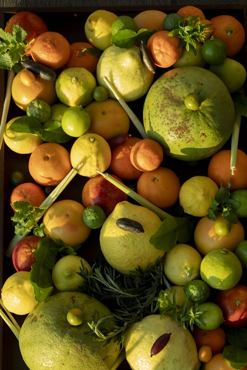 เชฟเมาโร โคลาเกรคโค กลับมาเยือนกรุงเทพฯ พร้อมเฉลิมฉลองแรงบันดาลใจจากผลไม้ตระกูลซิตรัส  ผ่านเมนูลิมิเต็ดเอดิชัน ‘Citrus, Redefined’ ณ โค้ท บาย เมาโร โคลาเกรคโค