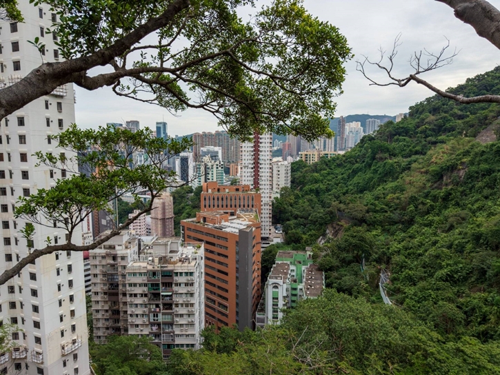 เปิดประสบการณ์ Runcation เทรนด์ “เที่ยวไปวิ่งไป” ชมวิวหลักล้านด้วยสองขาในฮ่องกง