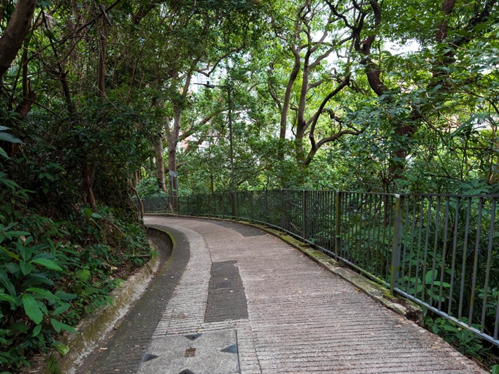 เปิดประสบการณ์ Runcation เทรนด์ “เที่ยวไปวิ่งไป” ชมวิวหลักล้านด้วยสองขาในฮ่องกง