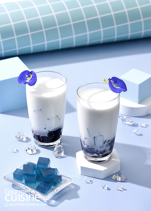 รวม 20 คาราวาน “เมนูวุ้น” นุ่มเด้ง อร่อยชื่นใจ