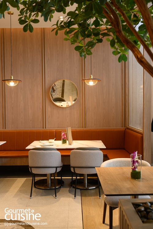 ชวนสายฟู้ดปักหมุด 12 ร้านอาหารจีนเปิดใหม่น่าชิม อร่อยรับปีมะเมียเฮงๆ