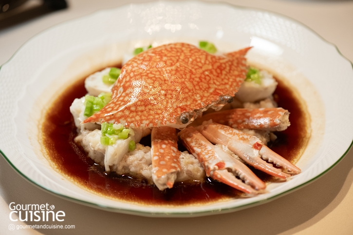 ชวนสายฟู้ดปักหมุด 12 ร้านอาหารจีนเปิดใหม่น่าชิม อร่อยรับปีมะเมียเฮงๆ